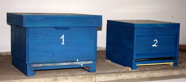 Bienen